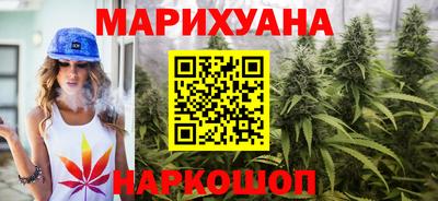 дживик Моздок