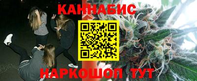 индика Можайск