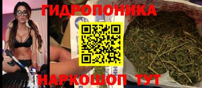 дживик Моздок
