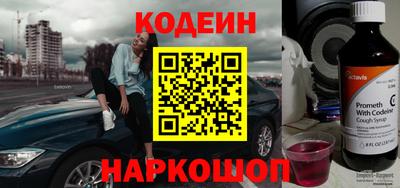индика Можайск