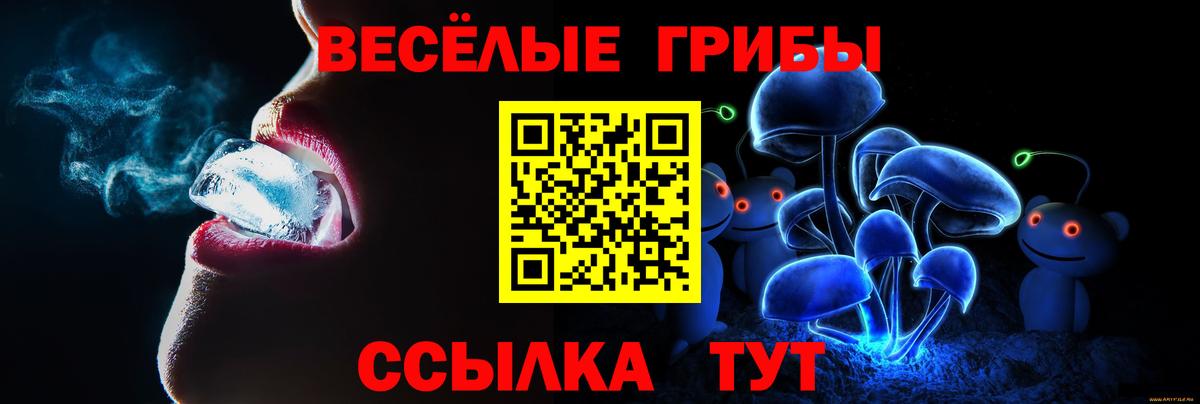 Пушкино  Галлюциногенные грибы мицелий  Вход с VPN  Галлюциногенные грибы Psilocybine cubensis 